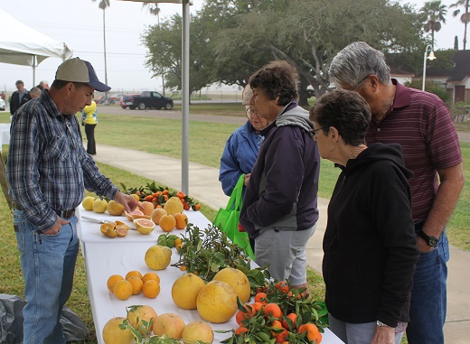 John Watson (Citrus Center Farm Superintendent) with visitors