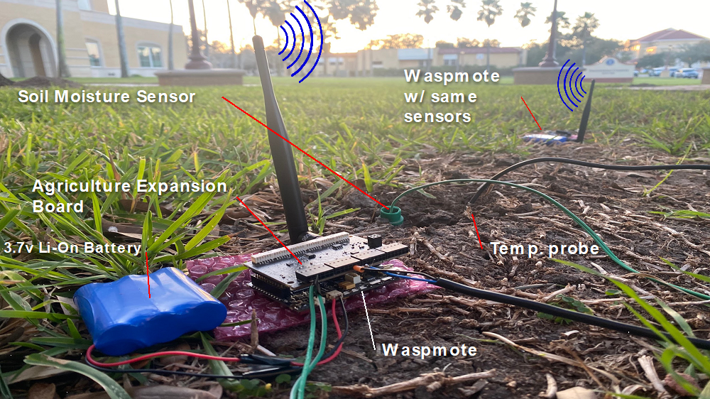 wireless sensor network