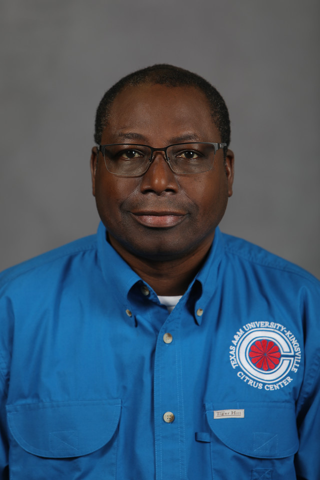 Profile picture of Dr. Mamoudou Sétamou