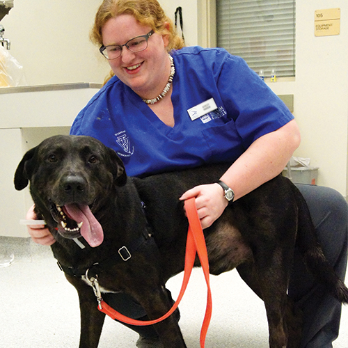 VETT student with dog.