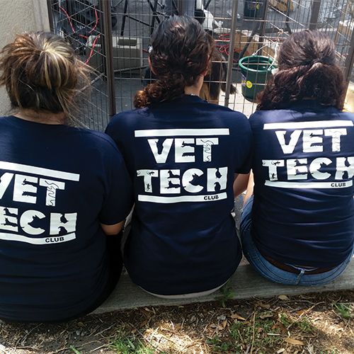 Vet. Tech. Club students with club shirts
