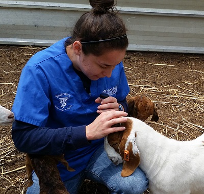 Department of Animal Science and Veterinary Technology