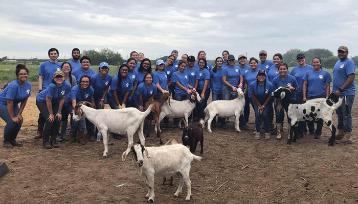 Veterinary Technologists Club members assist with farm animals at a local sanctuary.