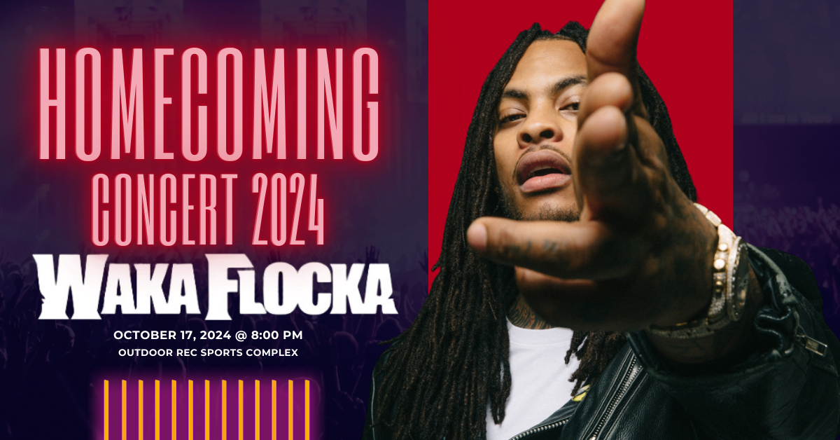 Waka Flocka Concert Image