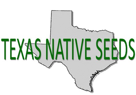 Native Seeds Logo