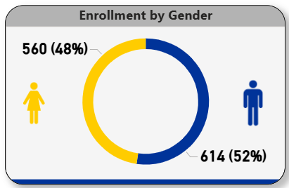 Enrollment by gender