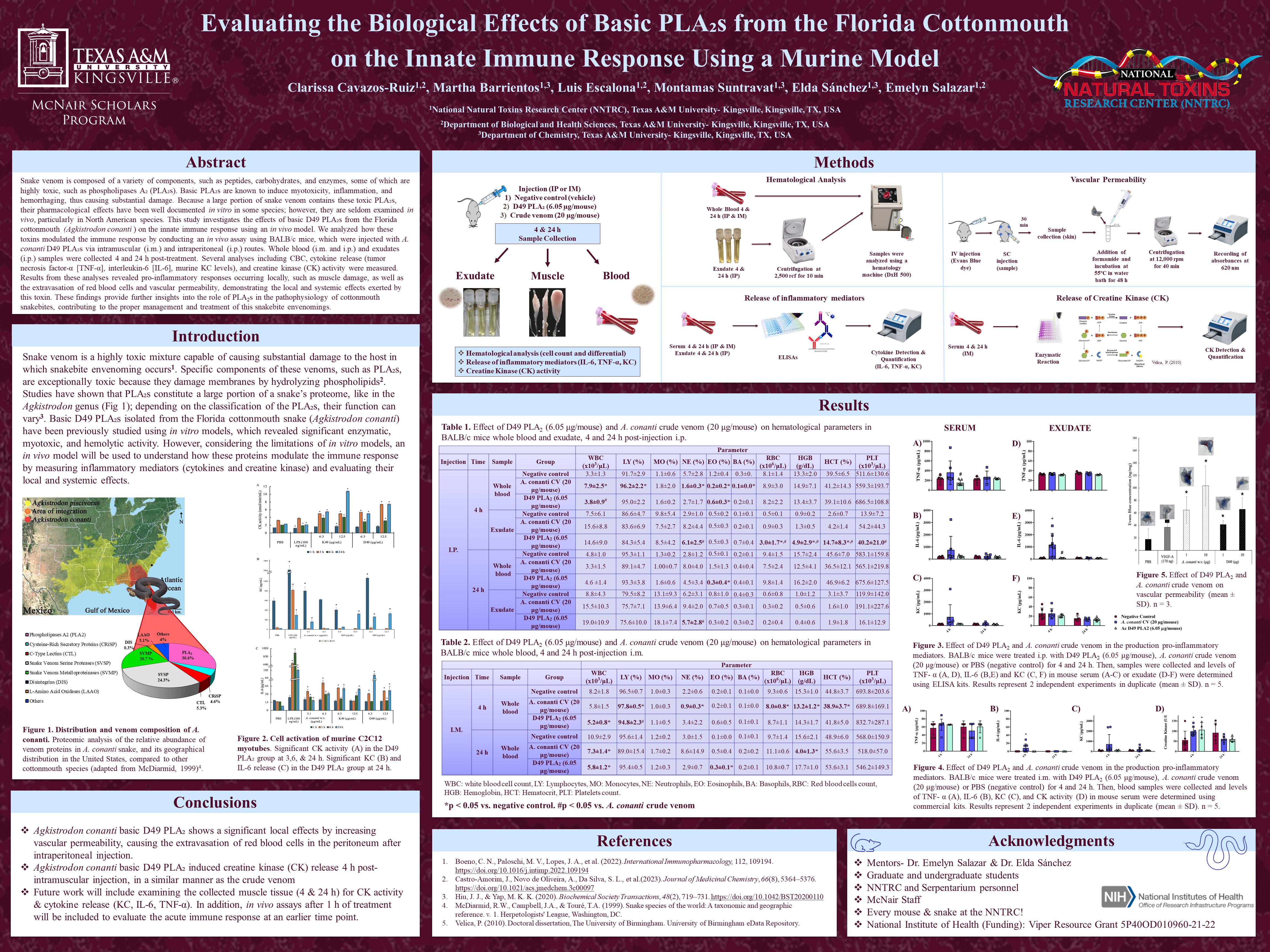 Cavazos-Clarissa_poster